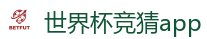 世界杯竞猜app_2026世界杯 (FIFA WorldCUP)中国下注指定网站